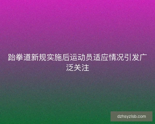跆拳道新规实施后运动员适应情况引发广泛关注